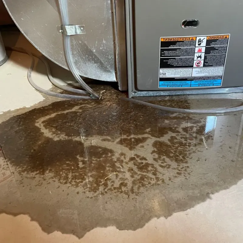 Pipe Burst and Leak Restoration in Laurel Hill, VA