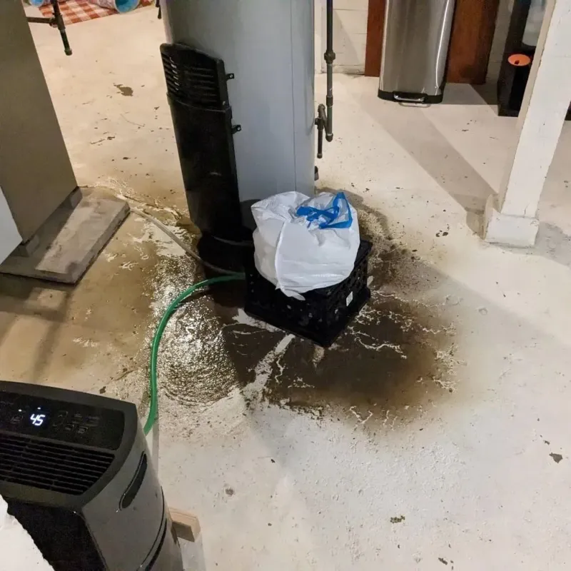Sewage Backup Cleanup Service in Laurel Hill, VA